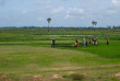Cambodge - Les rizières du Cambodge