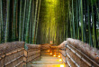 japon - Forêt de bambous de Sagano © Vichie81 - Shutterstock
