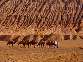 Chine - Caravane dans le désert du Gansu © CNTA